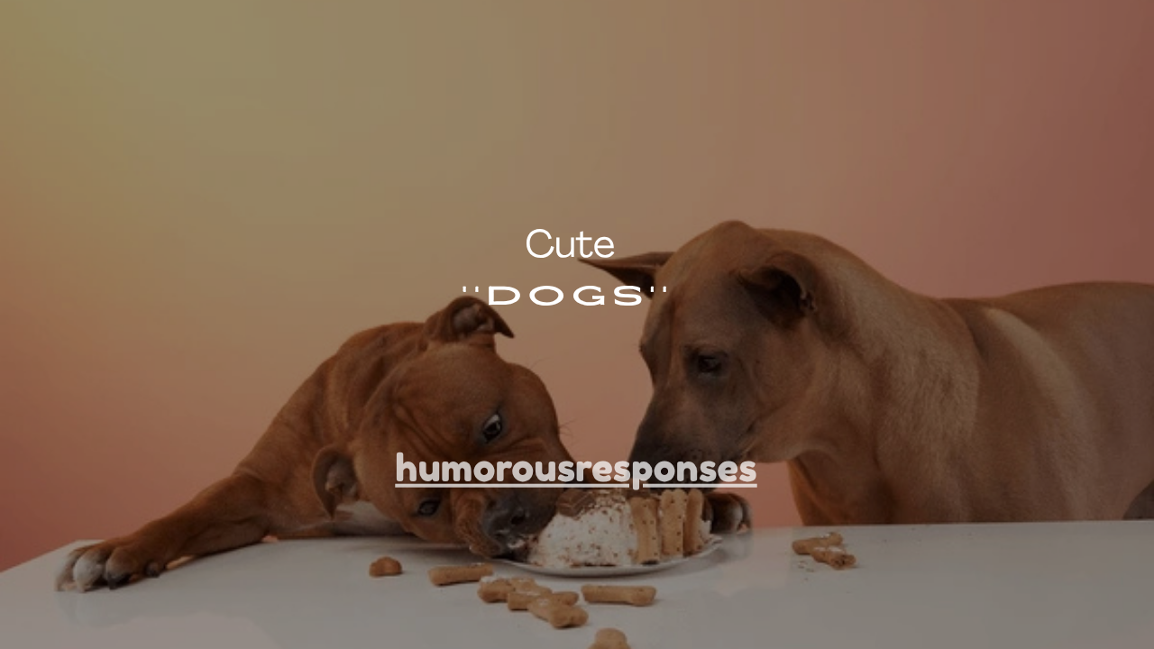 137+ Cute Compliments for Dogs That Every Dog Lover Will Love